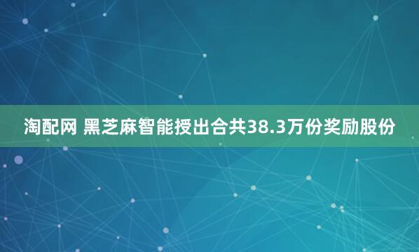 淘配网 黑芝麻智能授出合共38.3万份奖励股份